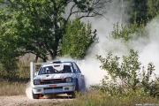 ralli