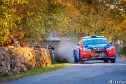 ralli