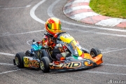 rotax