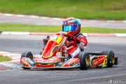 rotax