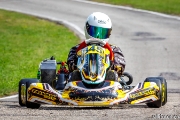 rotax