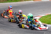 rotax