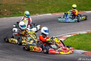 rotax