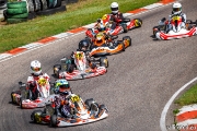 rotax