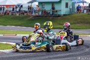 rotax