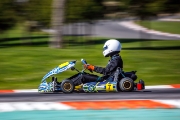 kart