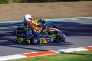 kart