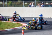 kart