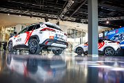 rallyestonia