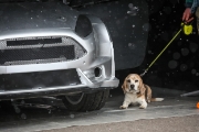 rallikross