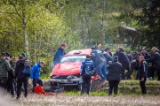 ralli