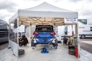 ralli
