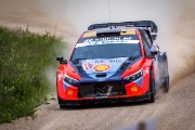 ralli