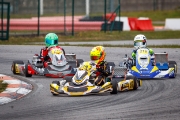 kardisport
