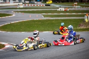 kardisport