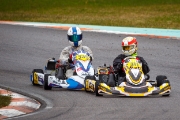 kardisport