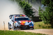 rallyestonia