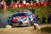 rallyestonia