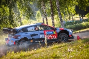 rallyestonia
