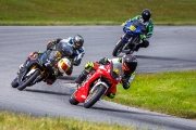 estoniangp