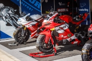 estoniangp