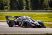 estoniangp