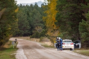 rallysaaremaa